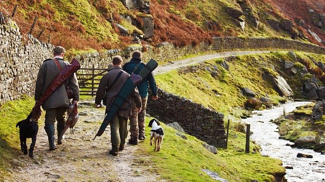 groupe de chasseurs de dos avec les chien près d'une rivière